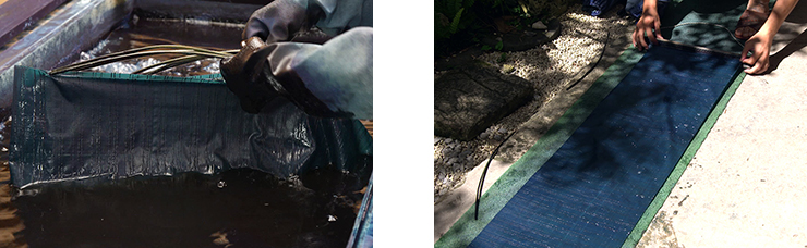 ryukyubingata photo-5